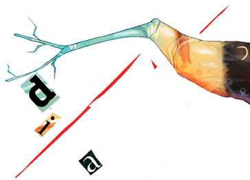 Voces del magisterio: Nuevos estándares de selección e ingreso para las escuelas normales