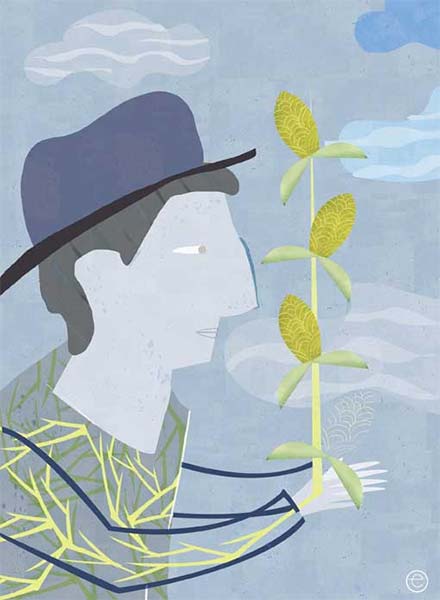 La caducidad del conocimiento