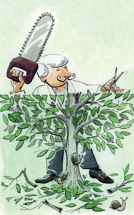 La iniciativa (congelada) contra los fideicomisos