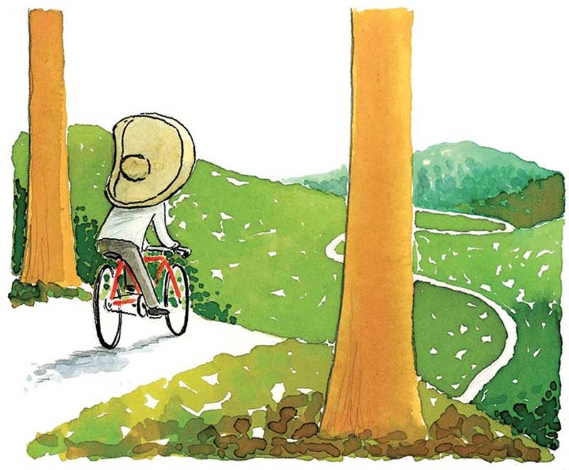 Educación superior en Iberoamérica: ¿hacia dónde?