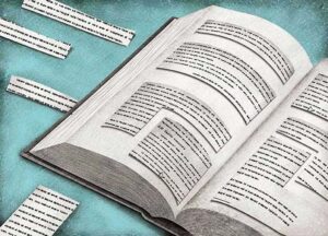 Ilustración: Belén García Monroy