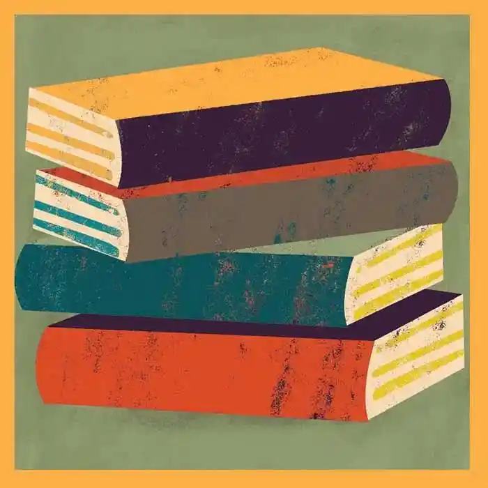 Educación superior y elecciones en 2024: navegar en aguas lodosas