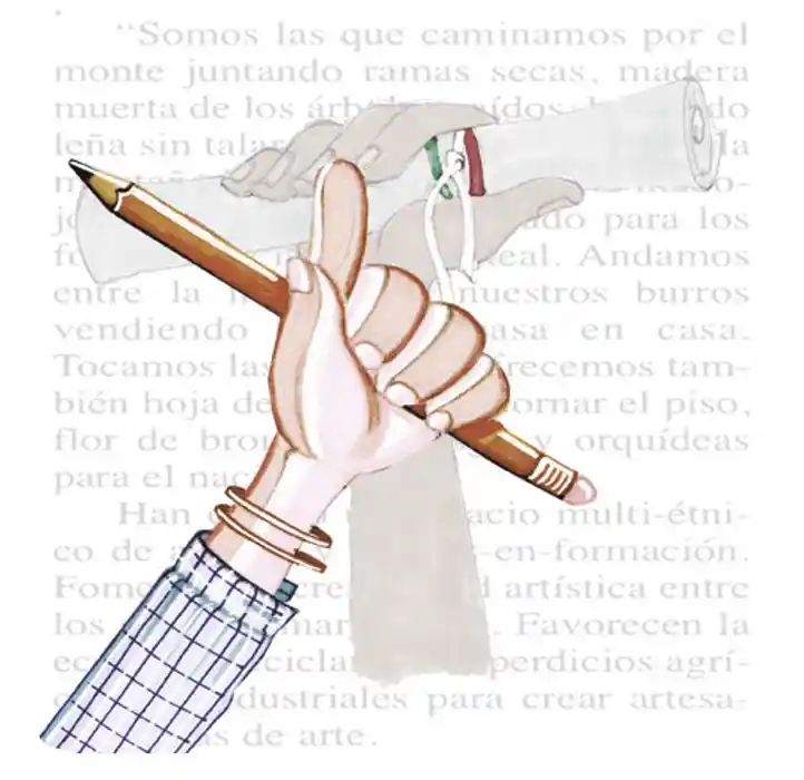 Educación líquida: continuidad o cambio en planes y programas